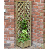 Forest Corner Trellis Planter