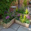 Forest Durham Rectangular Wooden Garden Planter 3