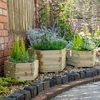 Forest York Hexagonal Wooden Garden Planter 3