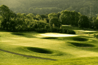 A Round of Golf at Marriott Hollins Hall Hotel and Country Club
