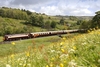 Day Excursion with Champagne on the Belmond Northern Belle for Two