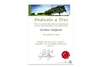 Dedicate a Tree Giftbox