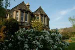 Deluxe Afternoon Tea for Two at Woodchester Lodge