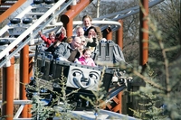 Drayton Manor Park Ticket with Lunch for One Adult