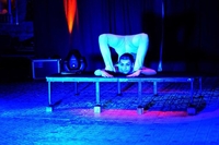 Entry for Two Adults and Two Children to Circus Zyair