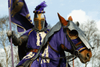 Jousting Experience