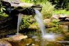 Paradise Wildlife Park Gardens Tour with Cream Tea for Two