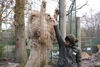 Paradise Wildlife Park Visit and Feed the Big Cats for Two (Weekends)