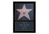 Personalised Star of Fame