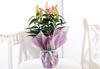 Pink Oriental Lily