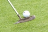 Play Golf like a Pro at Marriott Tudor Park Hotel and Country Club