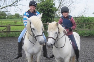 Pony Day at Willow Farm