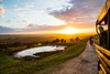 Port Lympne Reserve Entry Tickets and Truck Safari for Two Adults with Animal Adoption Pack