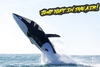 Predator Adventures Seabreacher Experience for One