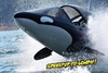 Predator Adventures Seabreacher Experience for Two