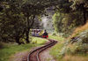 Private Hire of Eskdale Belle or Ratty Coaches for Four