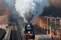 Steam Train Journey for One