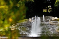 The Alnwick Garden and Afternoon Tea for Two