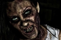 Zombie Riot Experience