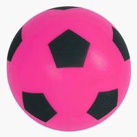 Soft Foam/Sponge Footballs/Soccer Balls (20cm) - Assorted Colours