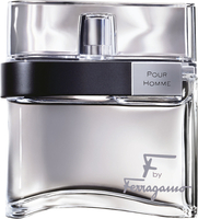 Salvatore Ferragamo F By Ferragamo Homme Eau de Toilette Spray 100ml