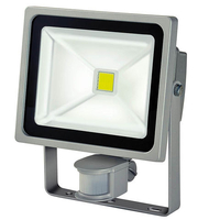 Brennenstuhl Brennenstuhl 30W COB LED Flood Light with PIR Sensor (230V)