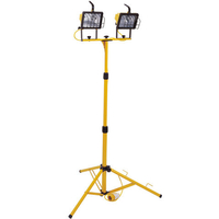 Clarke Clarke CHL120 1000W Twin Halogen Floodlights