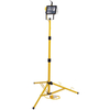 Dark Nights Clarke CHL110 Halogen Floodlight (500W/110V)