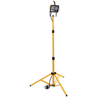 Dark Nights Clarke CHL500TD Halogen Floodlight (500W/230V)
