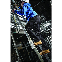 Dickies Dickies Black Eisenhower Max Trouser (40 Waist Regular Leg)