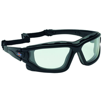 Dickies Dickies Lightweight Fogbuster Goggle Clear
