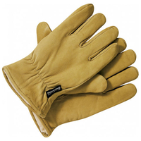 Dickies Dickies Lined Leather Work Gloves Medium