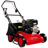 Efco Efco AG 38 B45 Briggs & Stratton Engine Petrol Scarifier