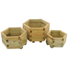 Forest Forest York Hexagonal Planter - Set of 3