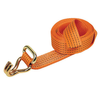 Lifting & Crane Lifting & Crane 4m Strap with Oval Link & Claw Hook