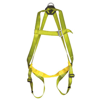 Lifting & Crane Lifting & Crane ECOSAFEX 2 FALL ARREST HARNESS