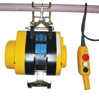 Lifting & Crane Lifting & Crane Scaffold Hoist (110V)