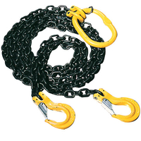 Lifting & Crane Lifting and Crane 2-Leg Chain Sling