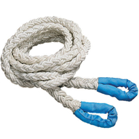 Lifting & Crane Lifting and Crane 8m Kinetic Recovery Rope