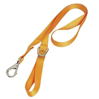 Lifting & Crane Lifting and Crane CSSS Chainsaw Safety Strap