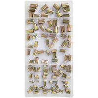 Machine Mart 100 Piece Nut Rivet Set