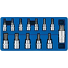 Machine Mart 13 Piece Torx Socket Bit Set