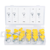Machine Mart 20 Piece Key Type Hose Clamp Assortment