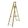 Machine Mart Xtra Lyte GFBP10 10 Tread Glassfibre Platform Step Ladder