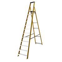 Machine Mart Xtra Lyte GFBP12 12 Tread Glassfibre Platform Step Ladder