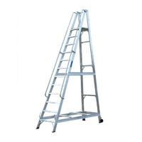 Machine Mart Xtra Lyte WS12 12 Rung Aluminium Warehouse Steps
