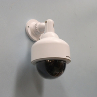 RhinoCo Technology RhinoCo Technology PTZ Dummy Surveillance Dome Camera