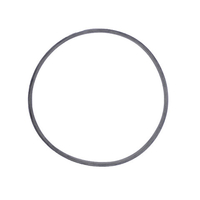 Roccheggiani Roccheggiani Silicone Seal - 2 Sizes