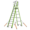 T. B. Davies Little Giant 10 Tread Safety Cage Series 2.0