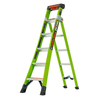 T. B. Davies Little Giant 6 Tread King Kombo GRP Industrial Step And Ladder